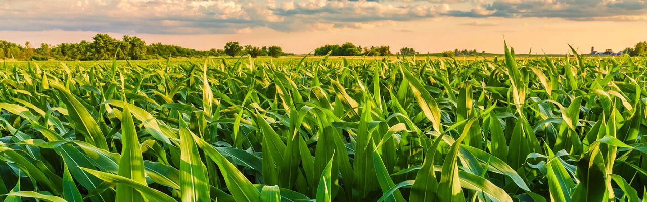 Производитель надёжных запчастей к сельскохозяйственной технике