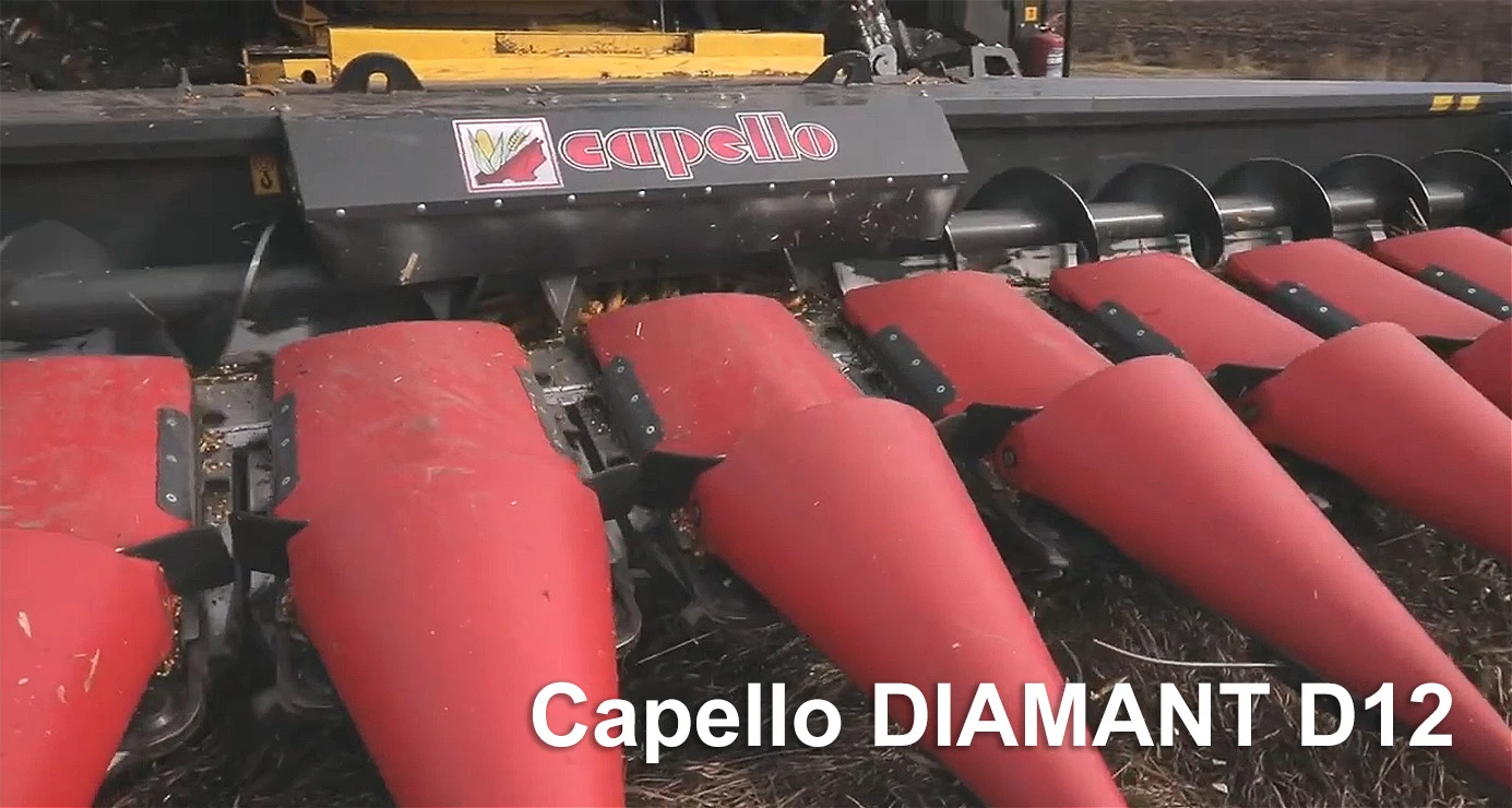 Capello DIAMANT D12