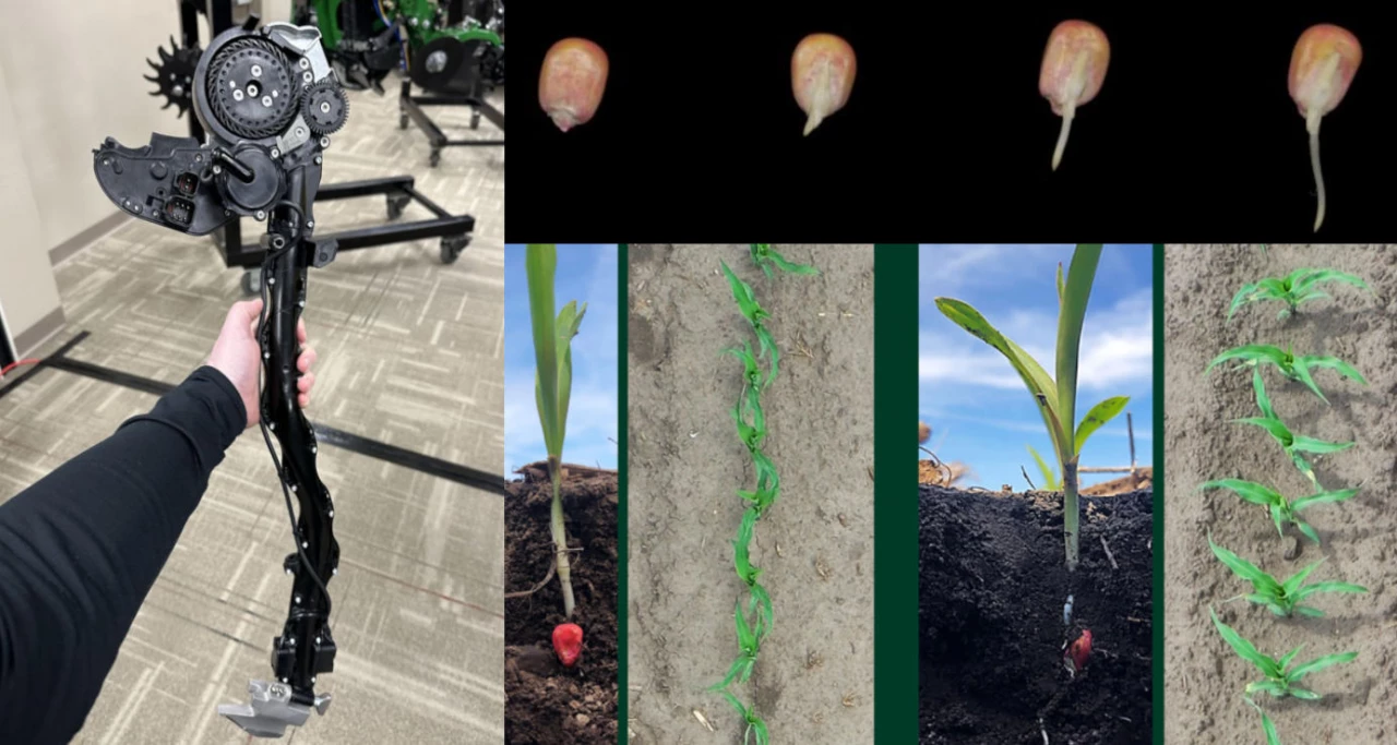 New Corn Planting System