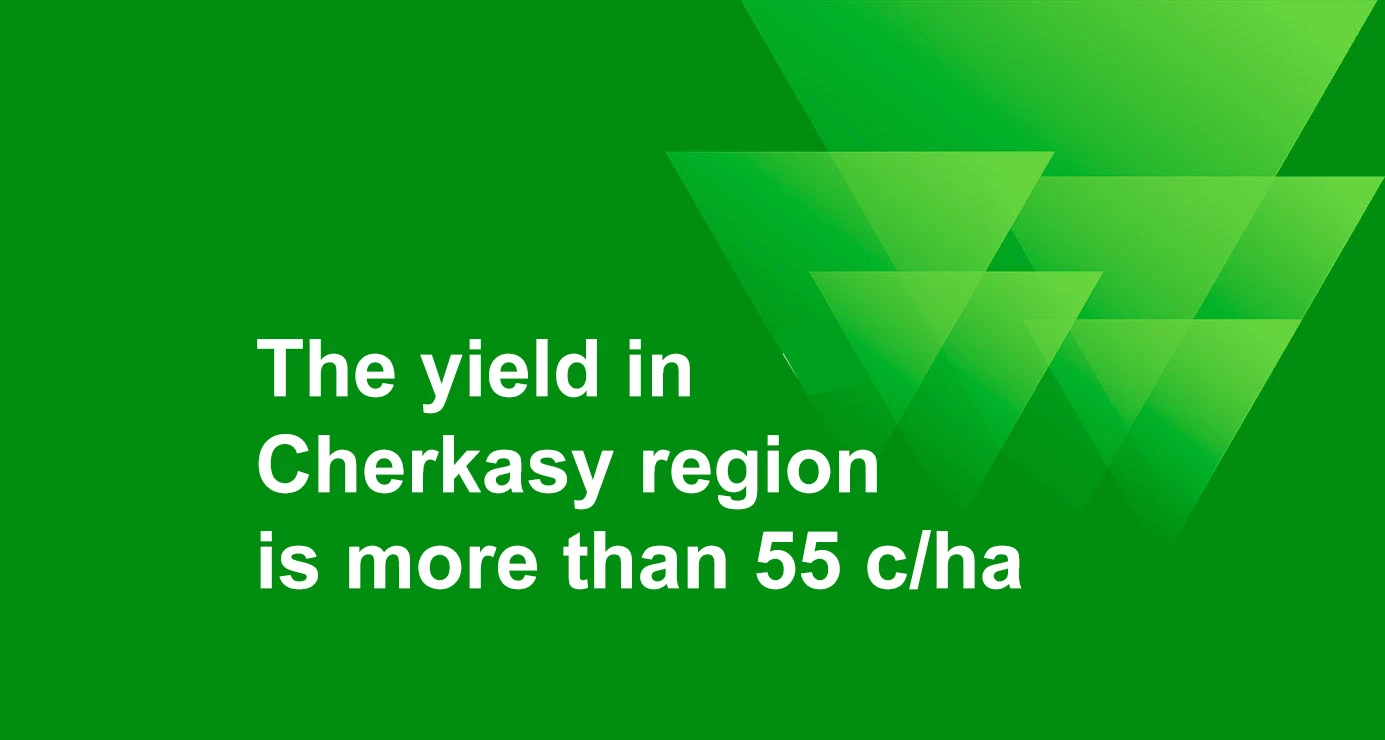 The yield in Cherkasy region is more than 55 c/ha